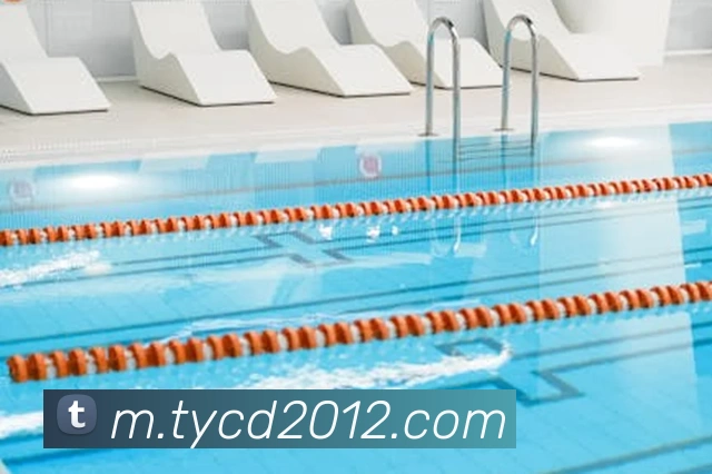 App Interface Preview